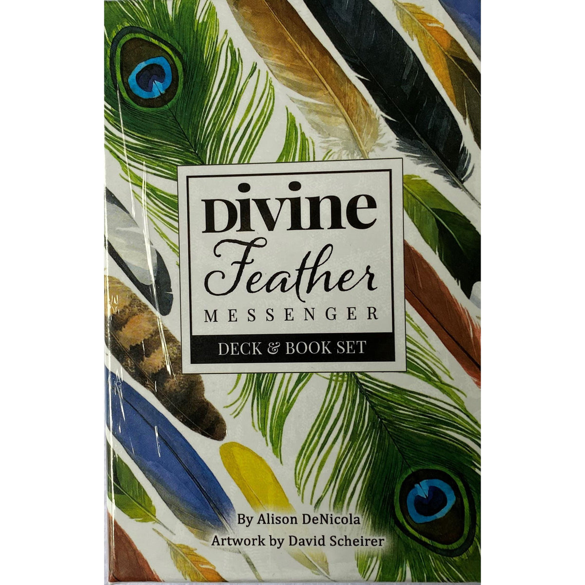 Juego de libros y baraja Divine Feather Messenger